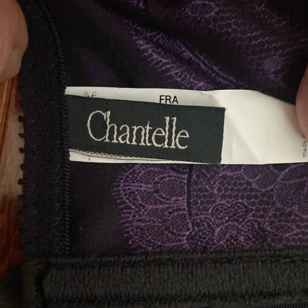 Chantelle Paris Waist Cincher/Garter Belt - Picture 2 of 12